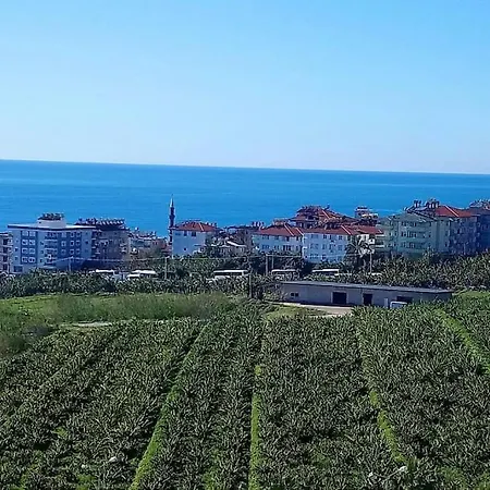 Zen House With Sea Views, Near Kleopatra Apartament Alanya